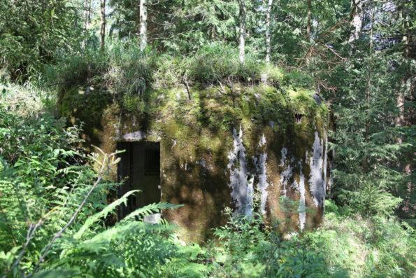 Sedmikraska Villa Horni Marsov Exterior photo